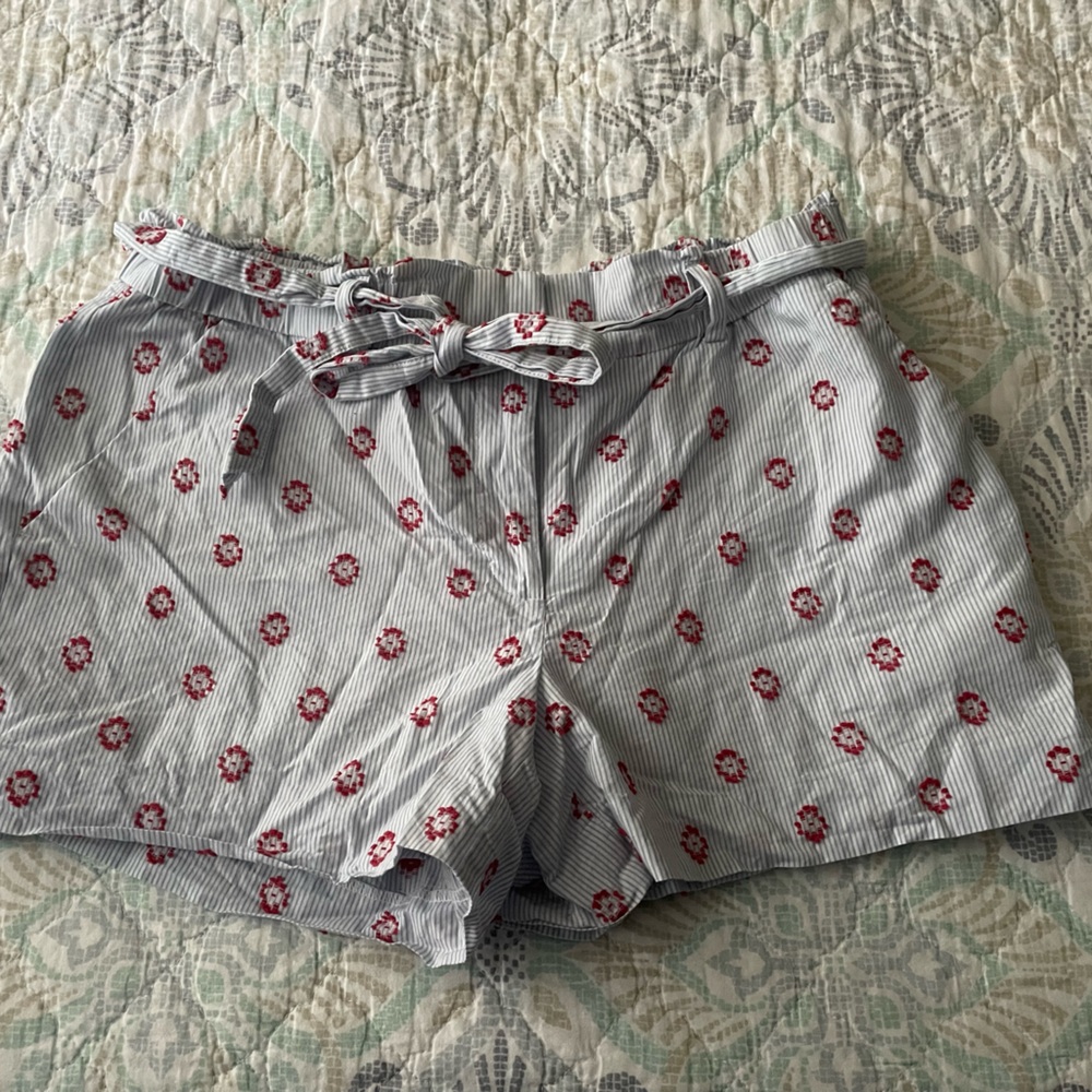 Loft shorts